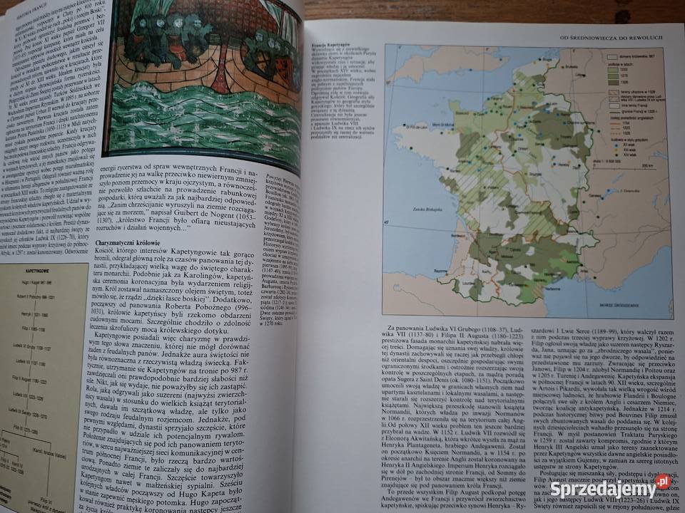 Wielkie Kultury Świata Francja J Ardagh C Jones ISBN 8371296746 Kraków