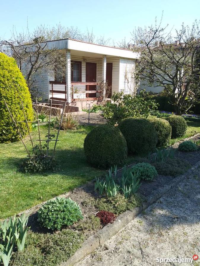 działka ROD Pigwa Łódź