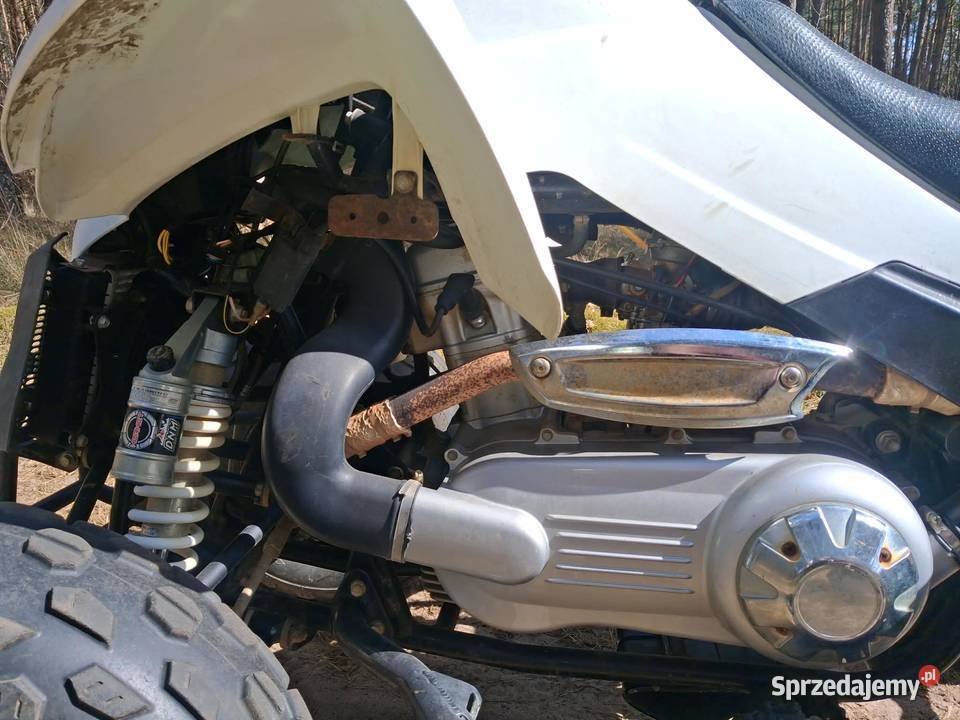 Dinli 360 Kalisz Pomorski sprzedam