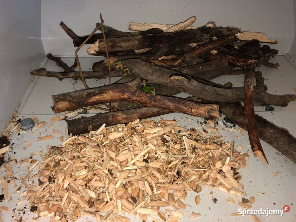 mlyn do malej mostki Oleszno