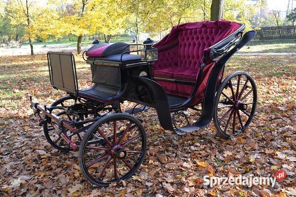 Powoz konny zabytkowy Victora kooperacja Góra Puławska