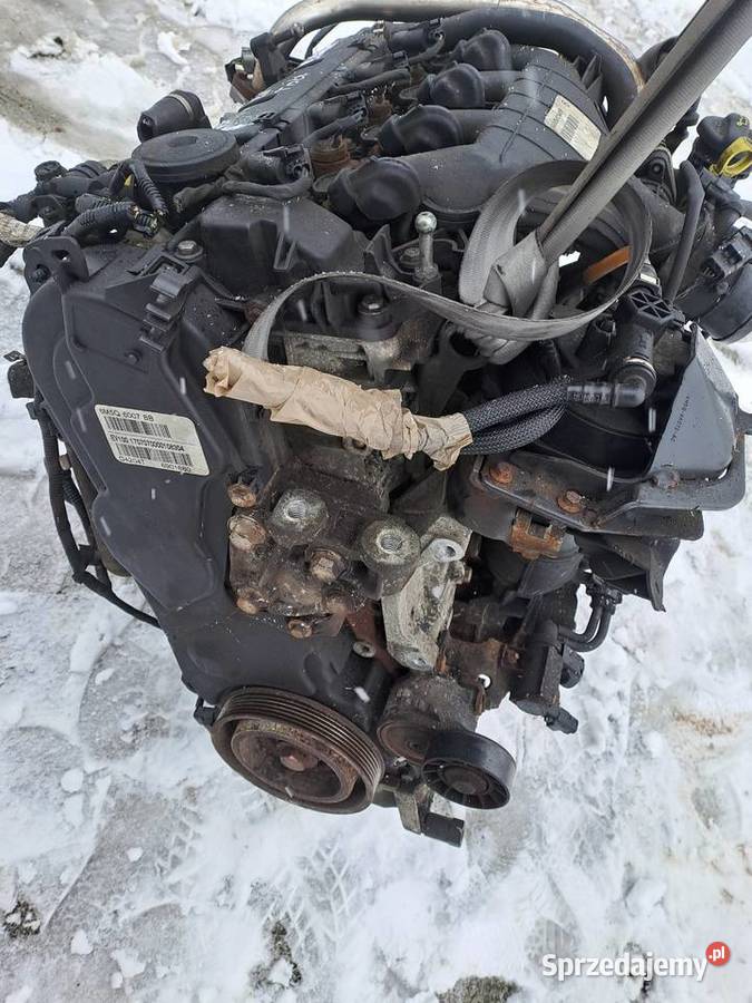 Ford Fokus C Kuga Volvo 20 TDCi 136 silnik Jastrzębie-Zdrój