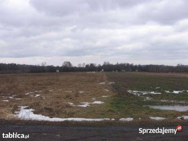 Niespotykana superoferta pośredników na 0 60zł/m2