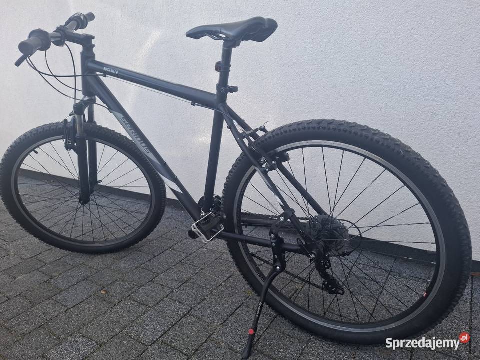 Rower Serious Wołów