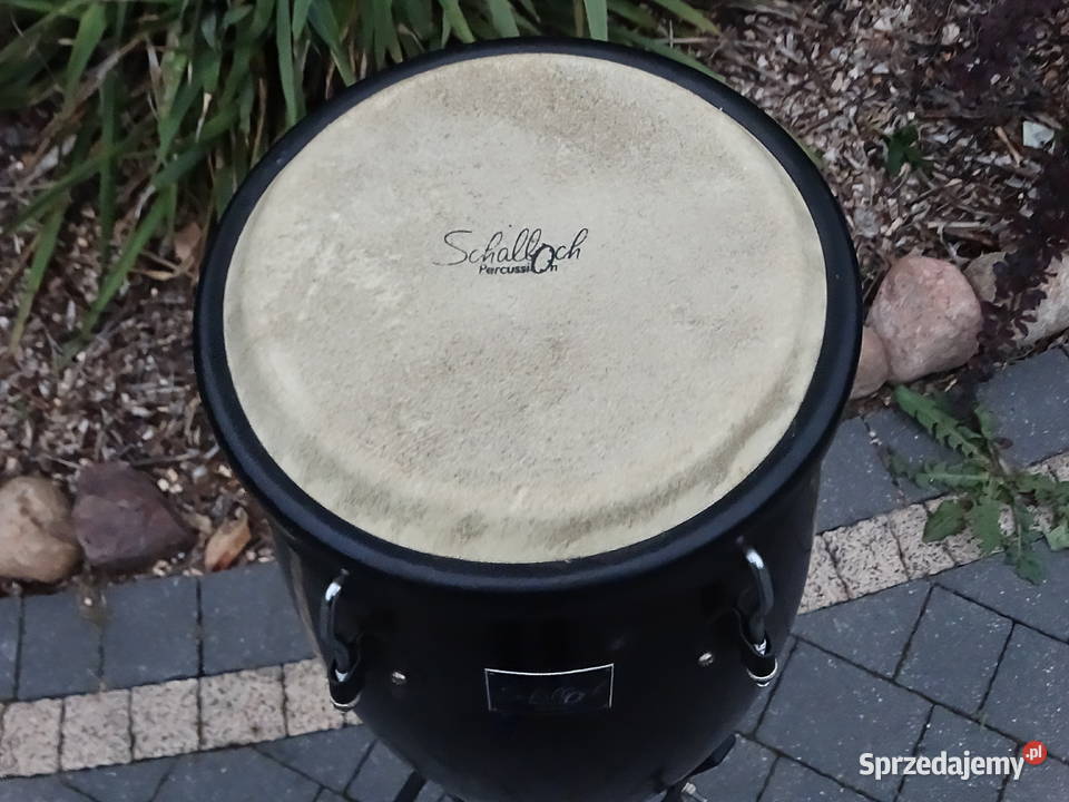 Conga Schalloch Percussion 11 34 Statyw Wys 110 lubelskie
