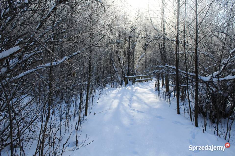 Działka rekreacyjna 3004 m2 w Karwiku Sprzedaż Karwik sprzedam