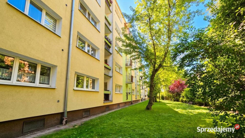 KawalerkaPoznań GrunwaldWłodkowica