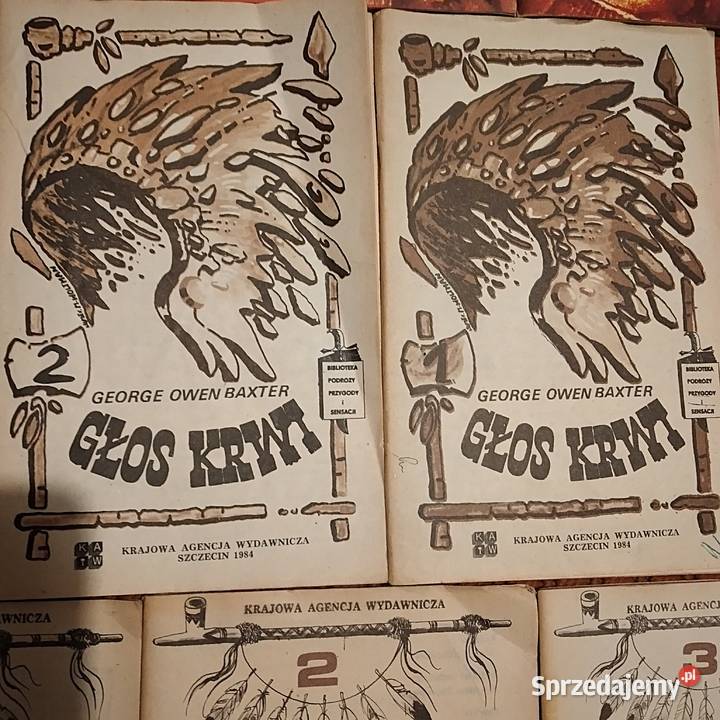 literatura młodzieżowa Bukowno