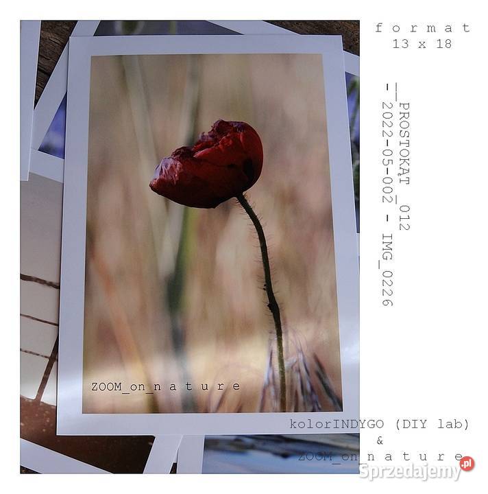 ZDJĘCIA przyrodnicze czII Witnica