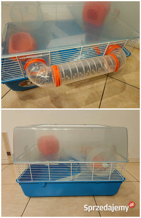 klatka klatka chomika klatka wielopoziomowa Piła