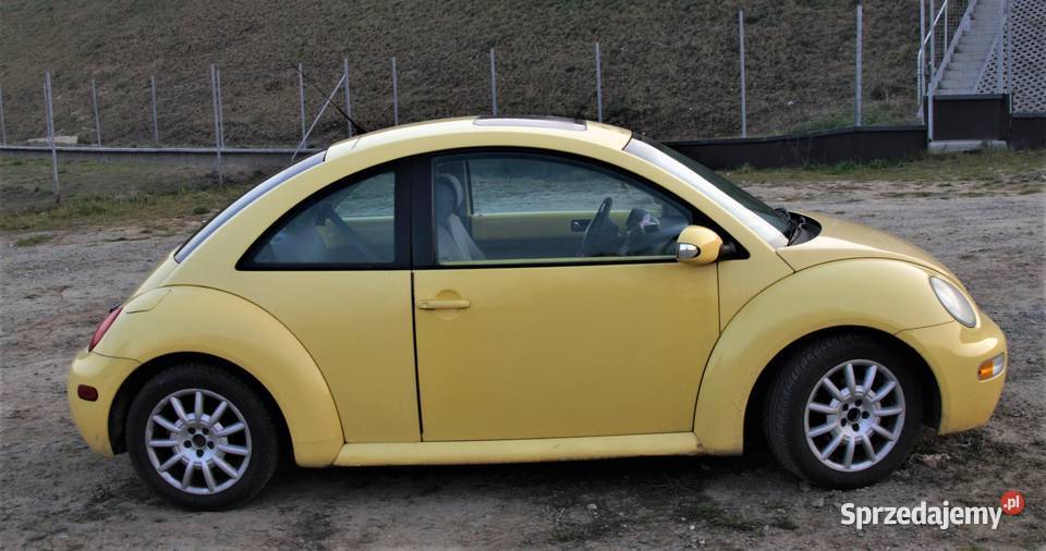 BEETLE Wrocław