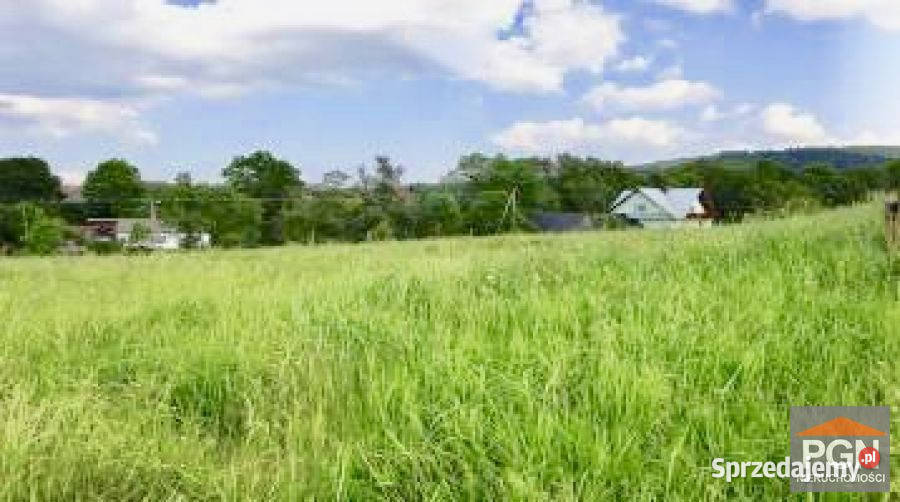sprzedaży działki 2711m2 Płoty 23zł/m2