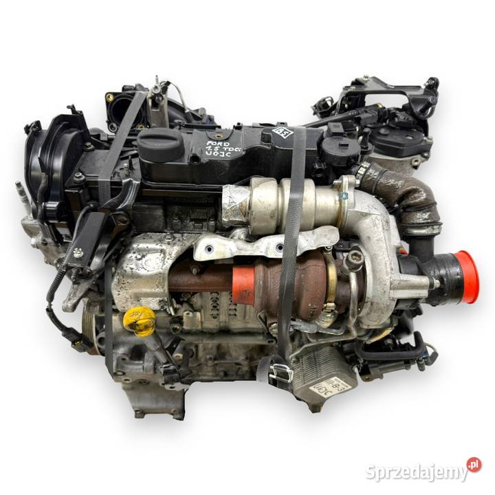 SILNIK UGJC Ford Fiesta VII MK7 B B 15 TDCI 75 Chełm sprzedam
