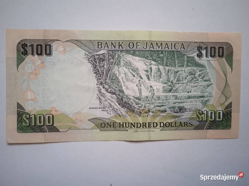 Jamajka 100 15012011 Zabrze