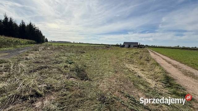 sprzedaży działka 6526 Witkowo dział bud 8 AR Sprzedaż