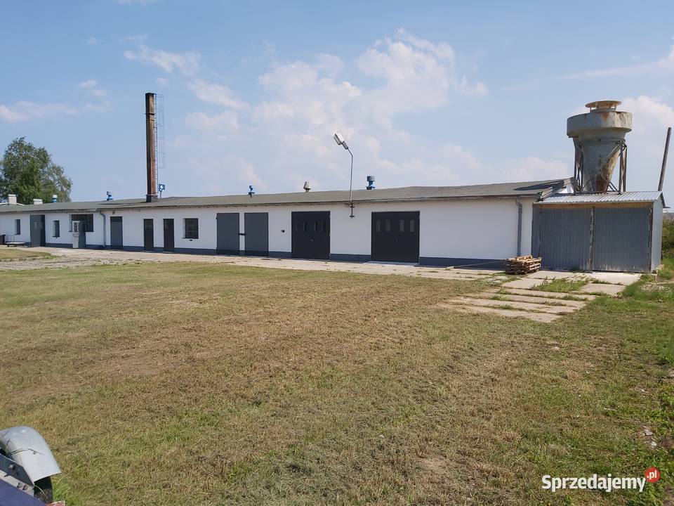 Wynajmę halę produkcyjną stolarnię maszyny Gdańsk