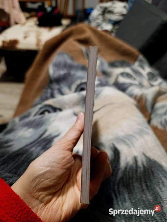 Angry Birds zatytułowana Kapitan Badburger  Poznań