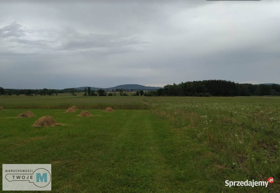 sprzedaży gruntu 56571m2 Strawczyn leśna