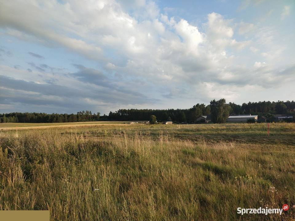 Duża działka 2700 m2 z Warunkami Zabudowy 37 m2 Huta