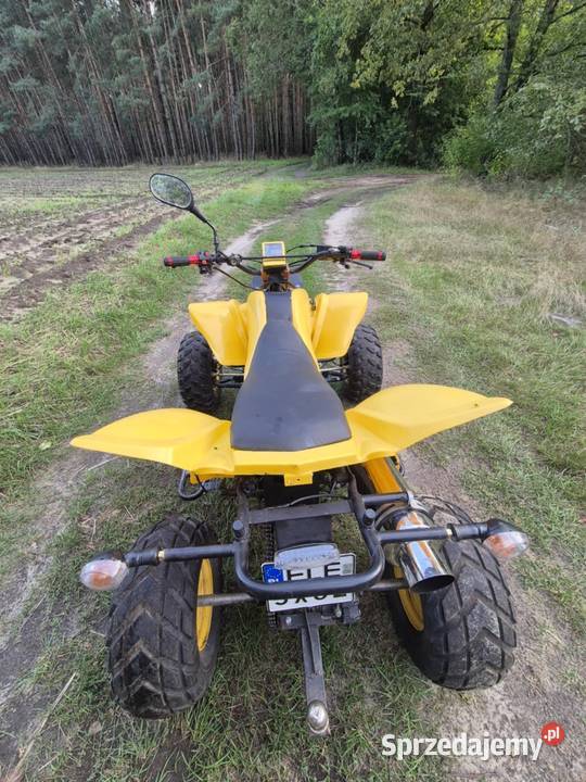 Bashan 200 250 Quad ATV 200cm3 Zelów
