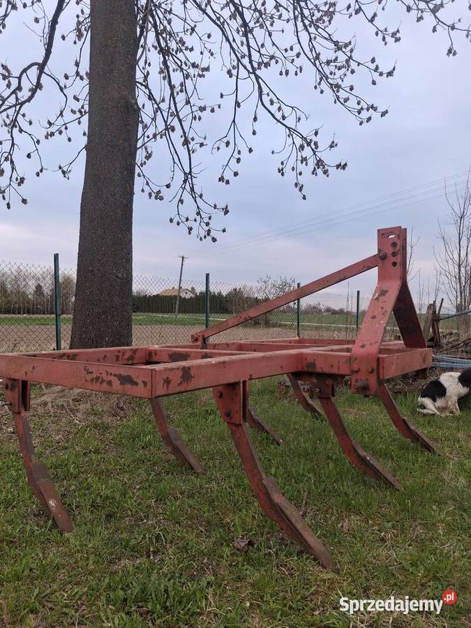 Glebosz Chłaniówek sprzedam