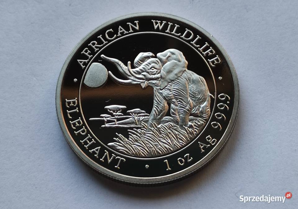 MONETA SOMALIA 100 SHILLINGS 2020 SŁOŃ mazowieckie Pruszków