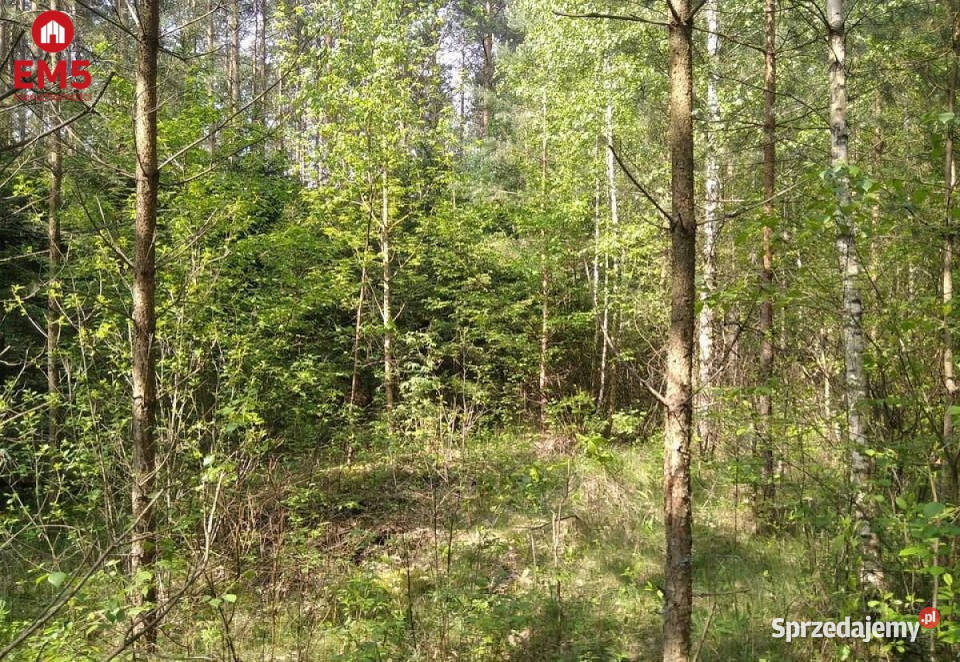 Sprzedaż działki 1100m2 Nowogród 18zł/m2 Jankowo-Młodzianowo