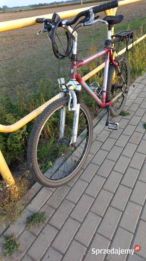 Rower na 26 kołach na Deore Giant