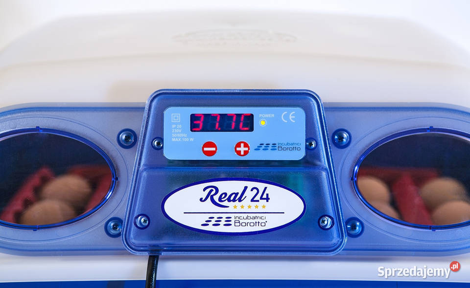 INKUBATOR półautomatyczny REAL 24 Borotto Italia podkarpackie Rzeszów sprzedam