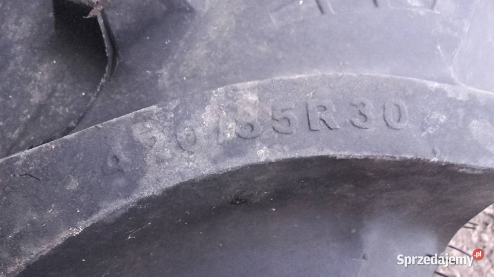 Koła 16930 PETLAS Dębówka