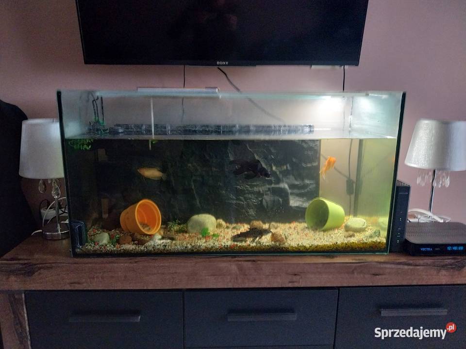Sprzedam akwarium