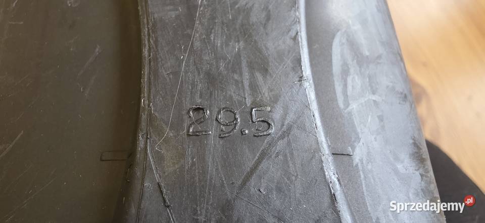 Buty narciarskie Rossignol 295