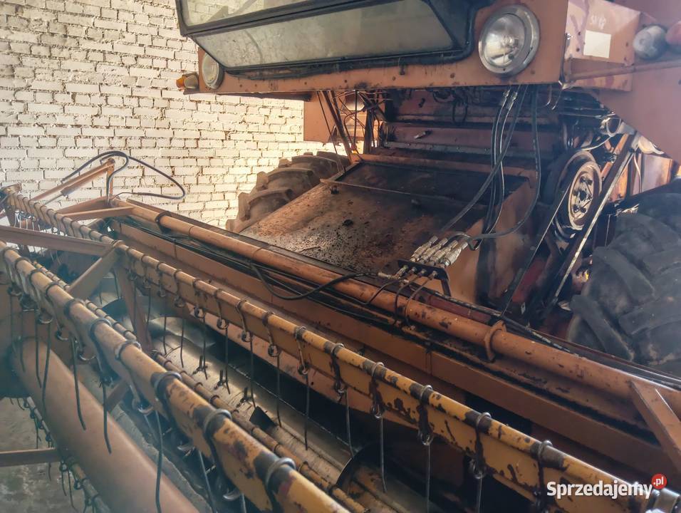 Bizon Rekord ZO58 Lipka