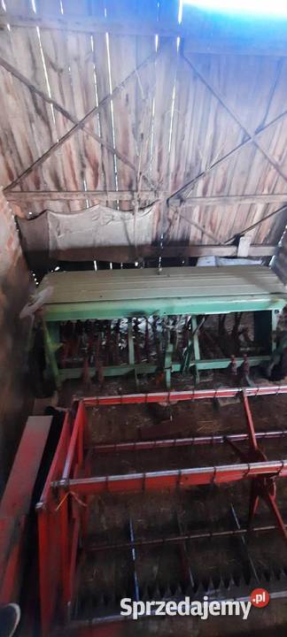 Siewnik zbożowy Hassia 25m Tomaszów Lubelski