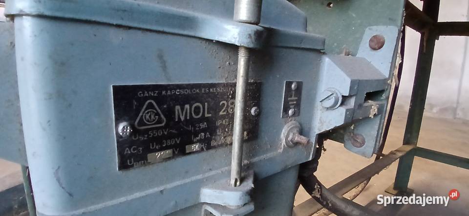 Krajzega piła stołowa Rawicz