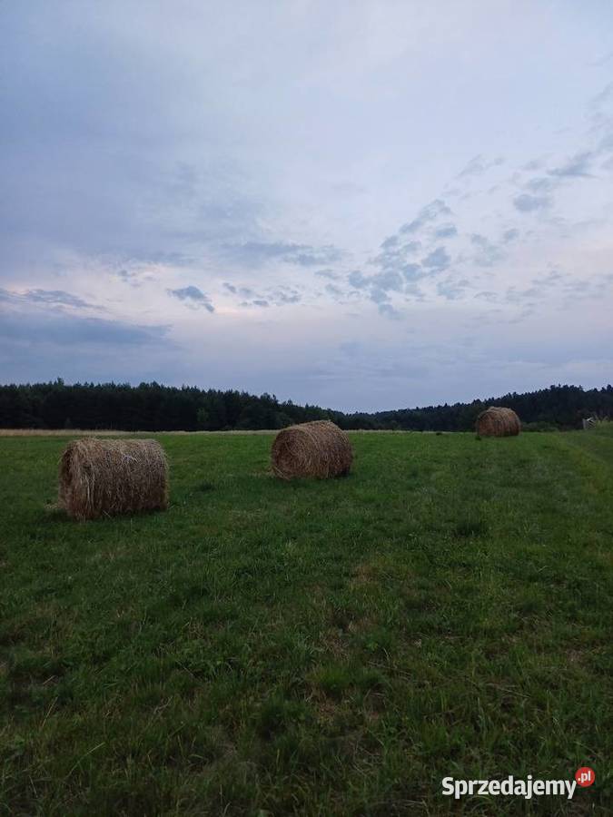 Siano Leszczawa Górna