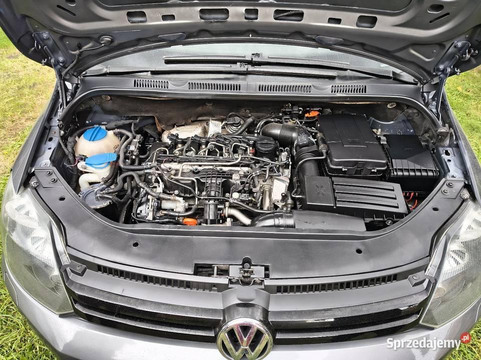 Sprzedamzamienię VW Golf Plus 16 Tdi szary Nur