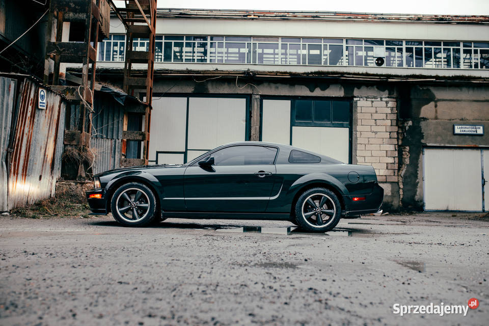 Ford Mustang Bullitt 2008r 46 V8 seryjny 3797 podkarpackie sprzedam