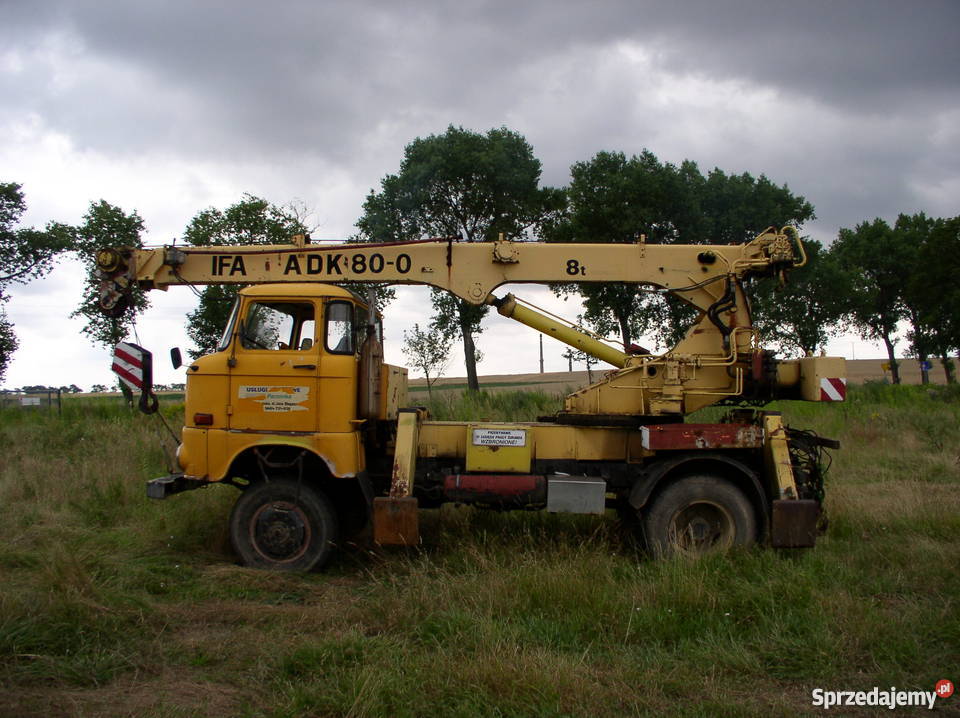 ifa adk 800 na części na plac Rok produkcji 1988 Chojnów