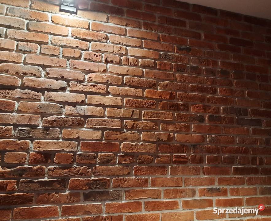 Płytki ceglane Lico Kujawskie Dom i Ogród mazowieckie sprzedam