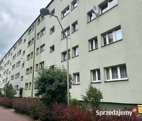 Syndyk sprzeda udział 12 w lokalu mieszkalnym w Oświęcim