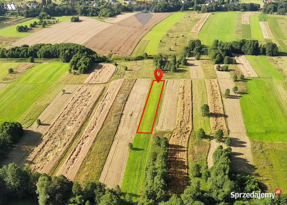 Działka rolna natury Rybarzowice