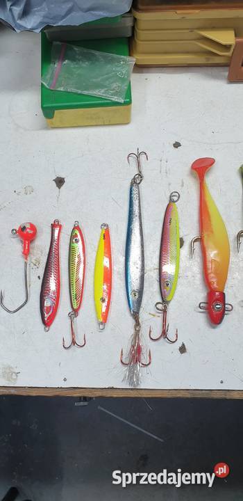 Pilkery gumy na dorsza sprzedam okazja Mrągowo