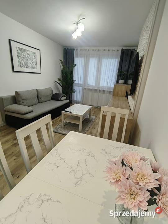 Apartament Parkowy Kaliska 6 os pies Apartamenty i mieszkania Kołobrzeg