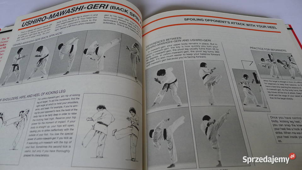 OYAMA Perfect Karate121 Kyokushin Ashihara Cook Radom