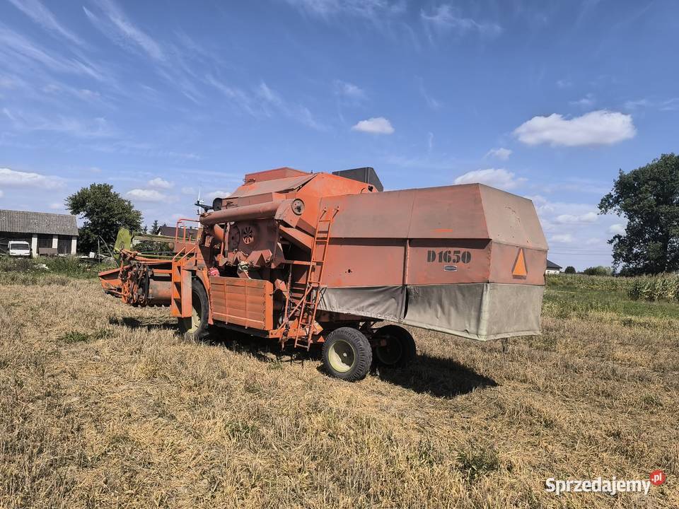 Dronningborg d1650 Rawa Mazowiecka