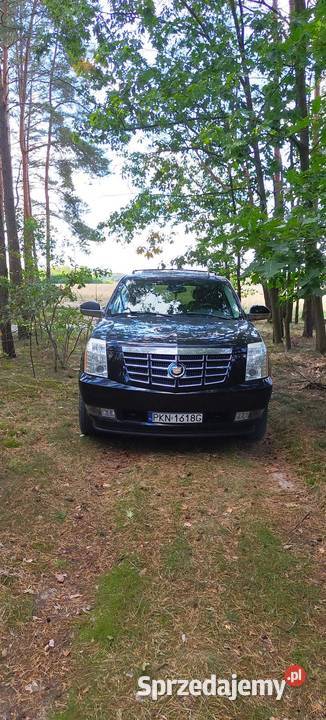 Cadillac Escalade Sompolno