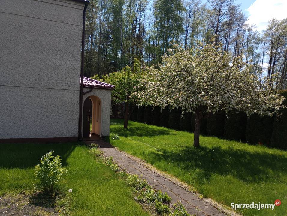 dom z cegły wolnostojącyDobroń dobra