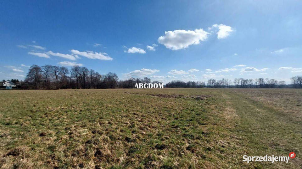 Cholerzyn działka budowlana 8 arów sprzedam
