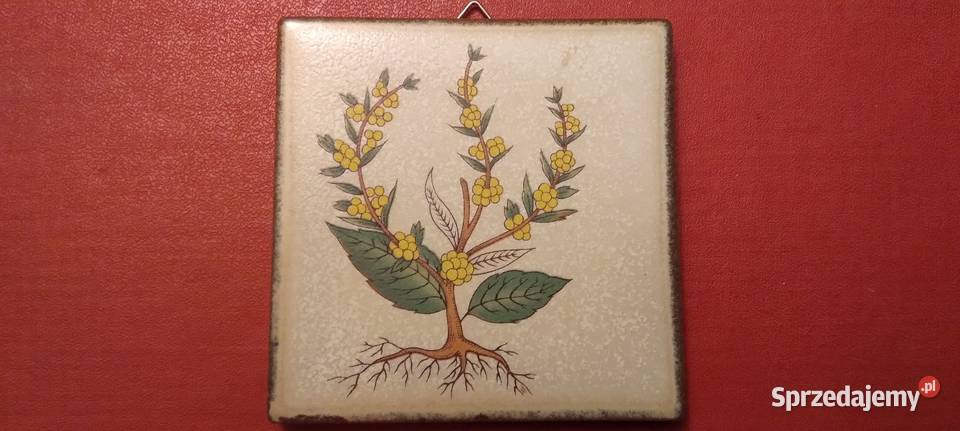 Kafelki ceramiczne dekoracyjne Pozostałe podlaskie Sejny